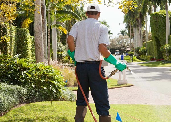 About Durhamville NY Pest Control